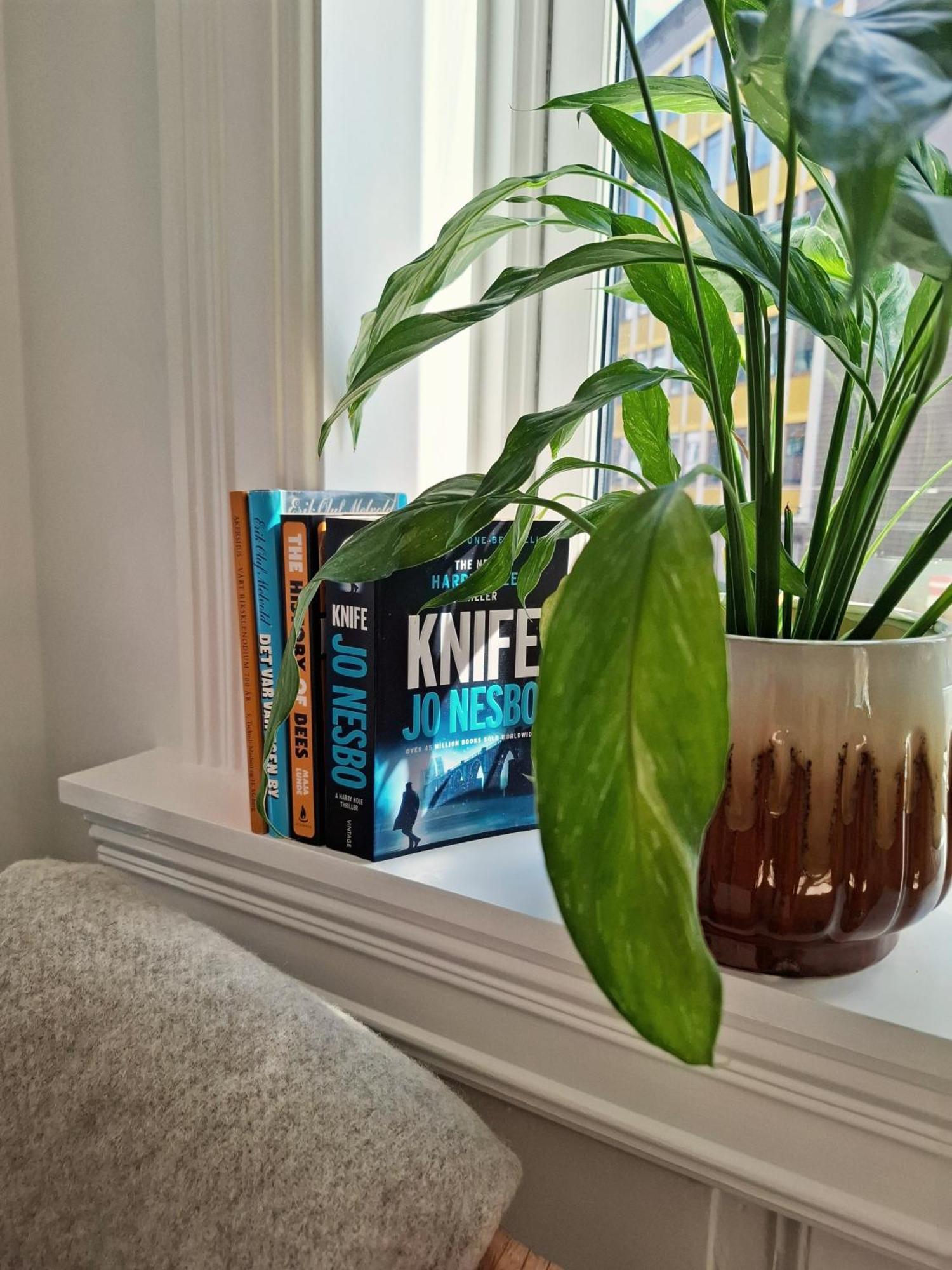 Bright And Charming Apartment From 1878 With View To The New National Museum In Oslo Eksteriør billede